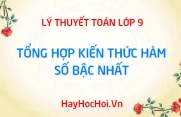 Tổng hợp kiến thức lý thuyết hàm số bậc nhất y = ax + b Toán 9 chương 2 tập 1